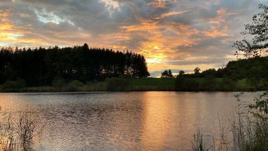 25 Jahre „Gegenfeuer“ – Pierre Bourdieus Neoliberalismus-Kritik