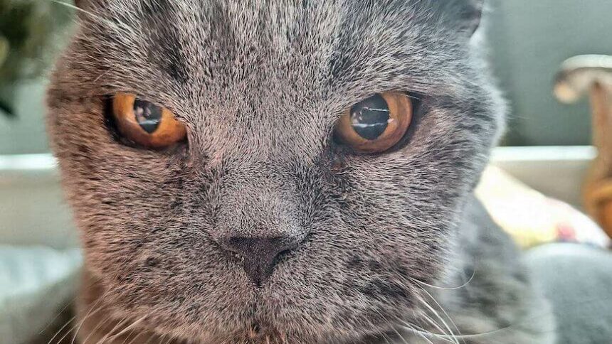 Ein wichtiger Hinweis an unsere Leser*innen