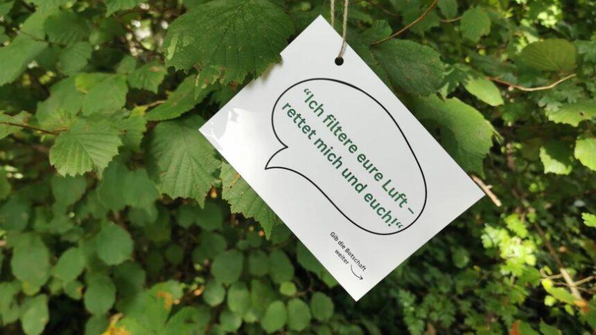 Naturgeflüster in Konstanz