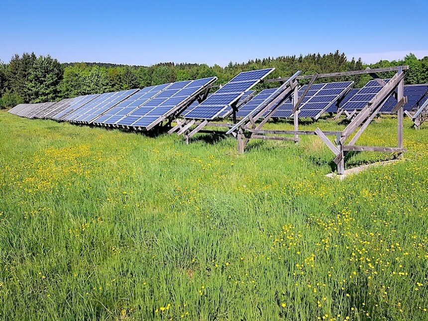 Agri-PV: Solaranlagen über Feldern oder Plantagen.