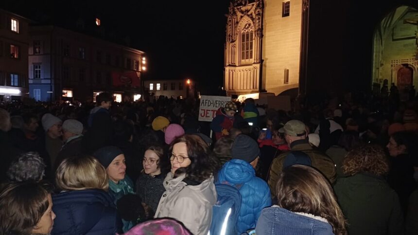 Demo gegen rechts, AfD, Konstanz 24.01.2024 © Harald Borges